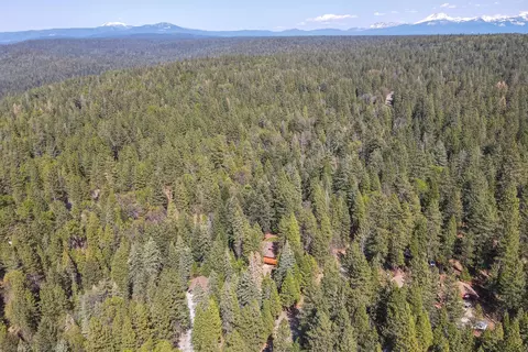 30562 Thumper Dr, Shingletown, CA 96088 photo 93