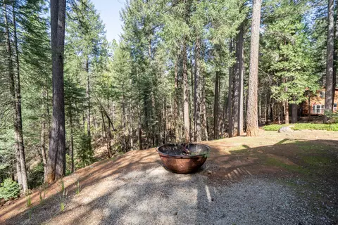 30562 Thumper Dr, Shingletown, CA 96088 photo 69