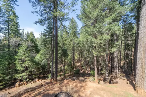 30562 Thumper Dr, Shingletown, CA 96088 photo 45