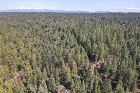 30562 Thumper Dr, Shingletown, CA 96088 photo 91
