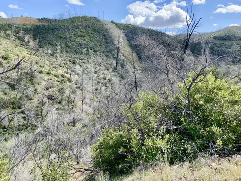 Muletown Rd, Shasta, CA 96087