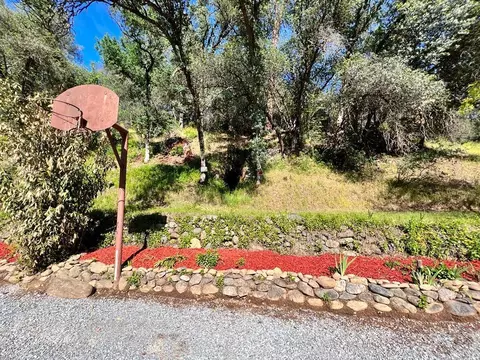 250 Lost Ln, Redding, CA 96003 photo 14