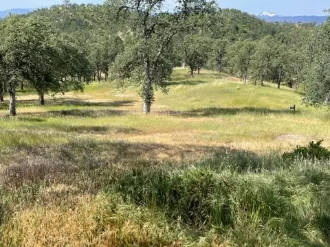 3501 Perla Rd, Igo, CA 96047 photo 5
