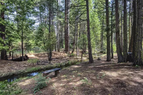 9353 Mountain Meadow Rd, Shingletown, CA 96088 photo 19