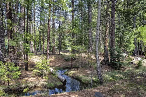 9353 Mountain Meadow Rd, Shingletown, CA 96088 photo 18