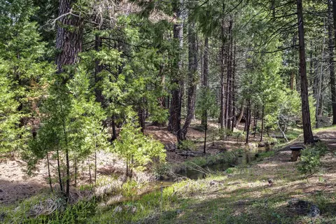 9353 Mountain Meadow Rd, Shingletown, CA 96088 photo 25