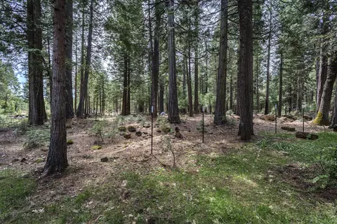 9353 Mountain Meadow Rd, Shingletown, CA 96088 photo 26