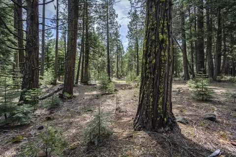 9353 Mountain Meadow Rd, Shingletown, CA 96088 photo 27