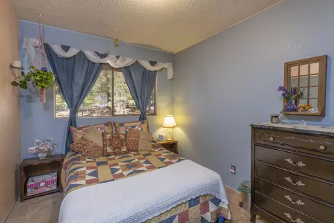 30982 Thumper Dr, Shingletown, CA 96088 photo 8