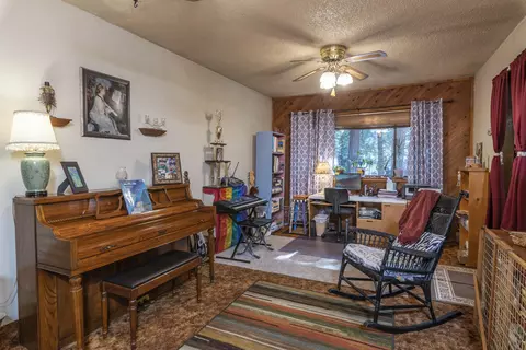 30982 Thumper Dr, Shingletown, CA 96088 photo 9