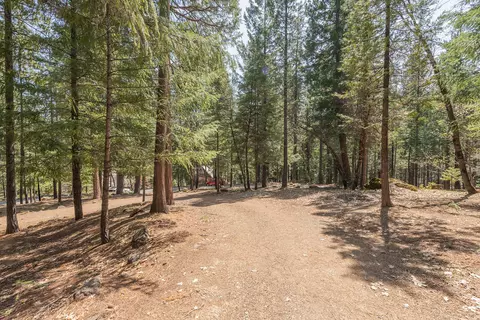 1820 Long Cyn, Trinity Center, CA 96091 photo 43