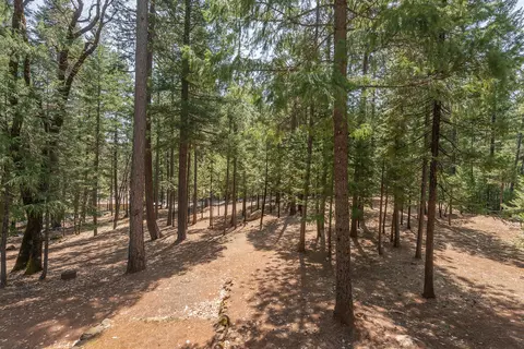 1820 Long Cyn, Trinity Center, CA 96091 photo 35