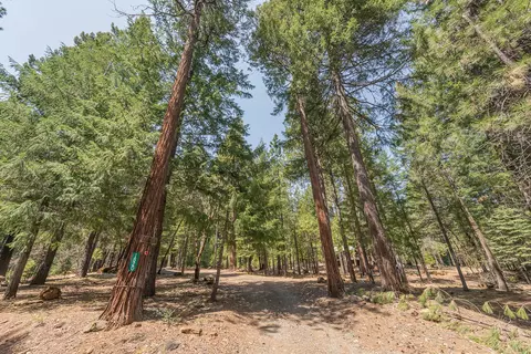 1820 Long Cyn, Trinity Center, CA 96091 photo 44