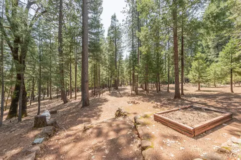 1820 Long Cyn, Trinity Center, CA 96091 photo 41