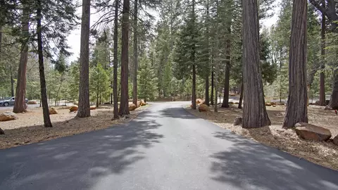 7181 Whispering Winds Ct, Shingletown, CA 96088 photo 30