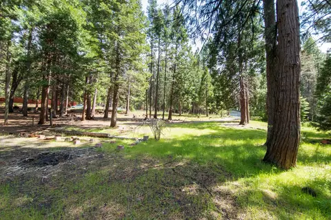 30778 Thumper Dr, Shingletown, CA 96088 photo 10