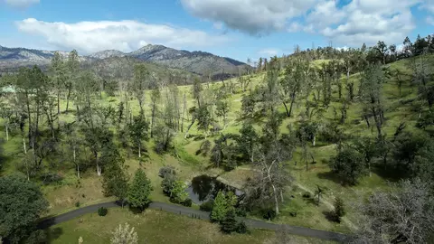 7991 Zogg Mine Rd, Igo, CA 96047 photo 33