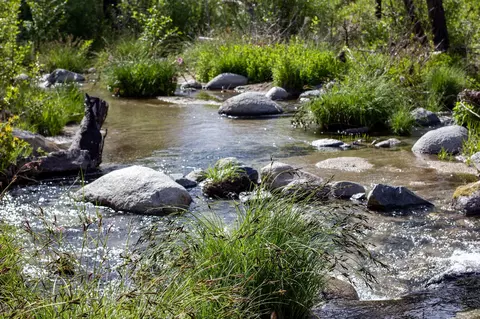 7991 Zogg Mine Rd, Igo, CA 96047 photo 4