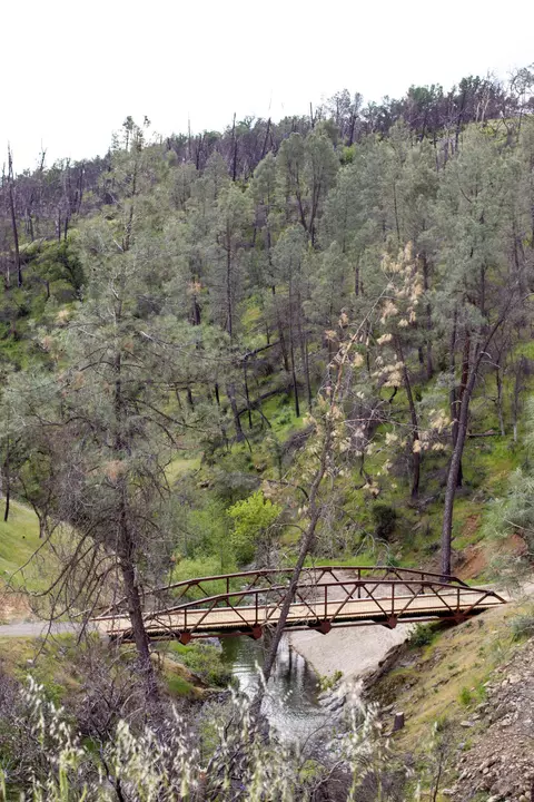 7991 Zogg Mine Rd, Igo, CA 96047 photo 5