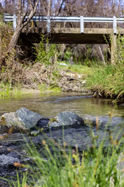 7991 Zogg Mine Rd, Igo, CA 96047 photo 18