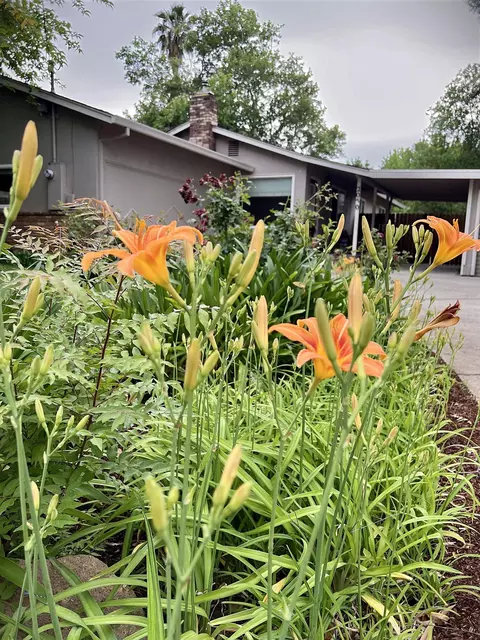 2050 Athens Ave, Redding, CA 96001 photo 5