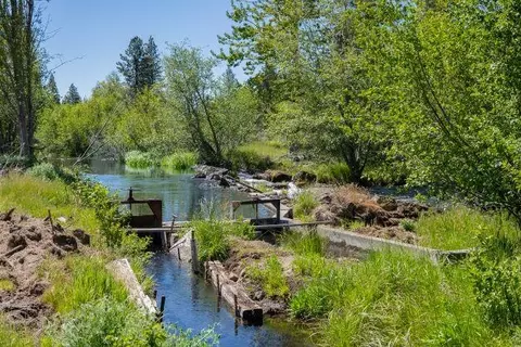 19005 Ca-89, Hat Creek, CA 96040 photo 66