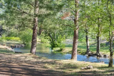 19005 Ca-89, Hat Creek, CA 96040 photo 70