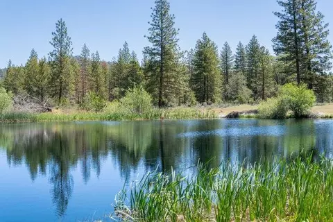 19005 Ca-89, Hat Creek, CA 96040 photo 71