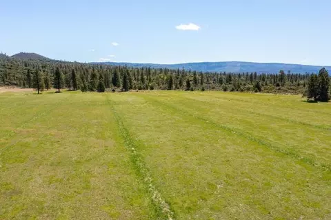 19005 Ca-89, Hat Creek, CA 96040 photo 67