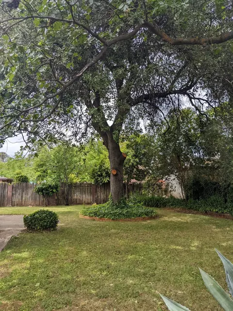 1717 Lori Ln, Redding, CA 96002 photo 5
