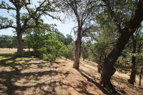 13925 Park Place Dr, Red Bluff, CA 96080 photo 47