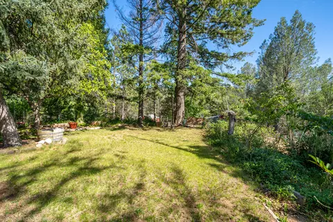 31250 Two Ponds Rd, Whitmore, CA 96096 photo 45