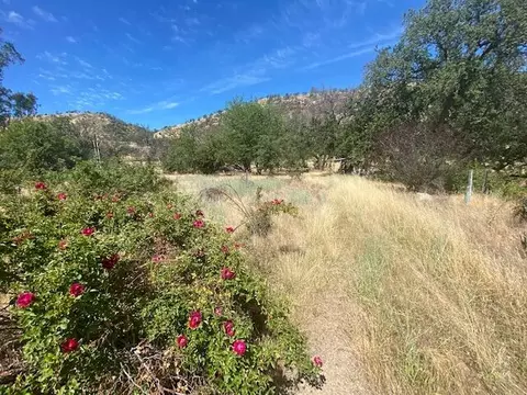 6620 Dream Valley Rd, Red Bluff, CA 96080 photo 10