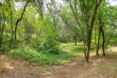 9983 Harley Leighton Rd, Redding, CA 96003 photo 56