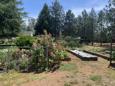 20307 Mosswood Ln, Redding, CA 96002 photo 8