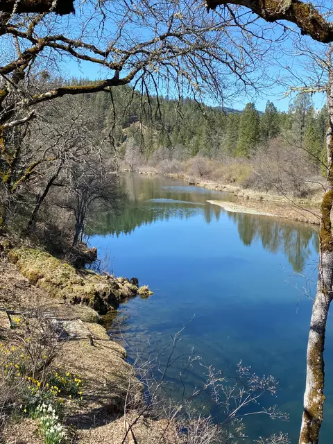 310 Goose Ranch Rd, Lewiston, CA 96052 photo 3
