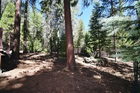 37434 Timber Hill Dr, Burney, CA 96013 photo 67