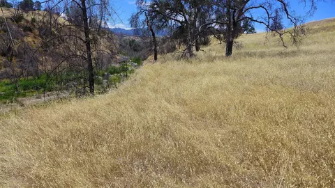 6050 Junkans Rd, Igo, CA 96047 photo 37