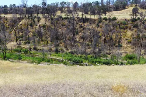 6050 Junkans Rd, Igo, CA 96047 photo 45