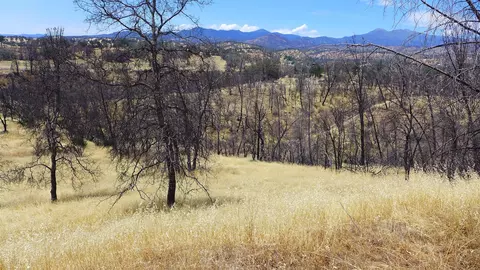 6050 Junkans Rd, Igo, CA 96047 photo 34