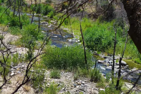6050 Junkans Rd, Igo, CA 96047 photo 43