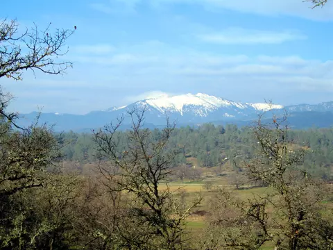 6050 Junkans Rd, Igo, CA 96047 photo 18