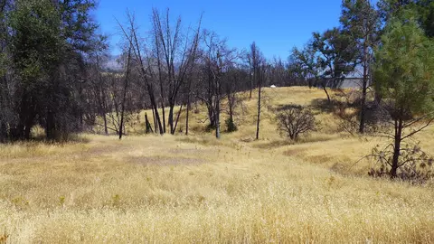 6050 Junkans Rd, Igo, CA 96047 photo 28