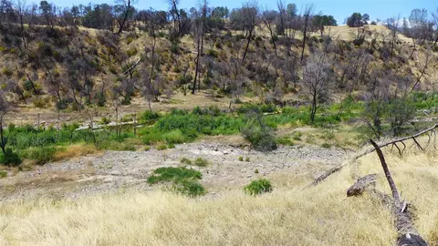 6050 Junkans Rd, Igo, CA 96047 photo 35