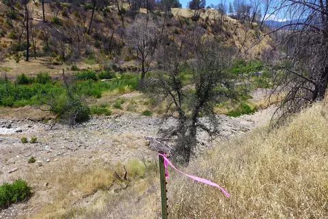 6050 Junkans Rd, Igo, CA 96047 photo 36