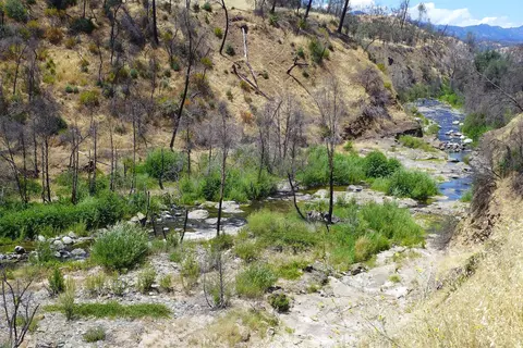 6050 Junkans Rd, Igo, CA 96047 photo 38