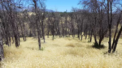 6050 Junkans Rd, Igo, CA 96047 photo 33