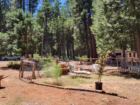30592 Shingletown Ridge Rd, Shingletown, CA 96088 photo 10