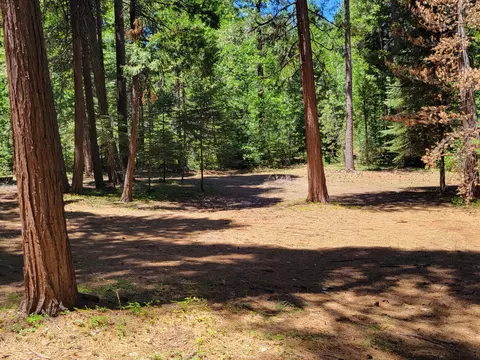30592 Shingletown Ridge Rd, Shingletown, CA 96088 photo 7