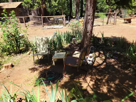 30592 Shingletown Ridge Rd, Shingletown, CA 96088 photo 20